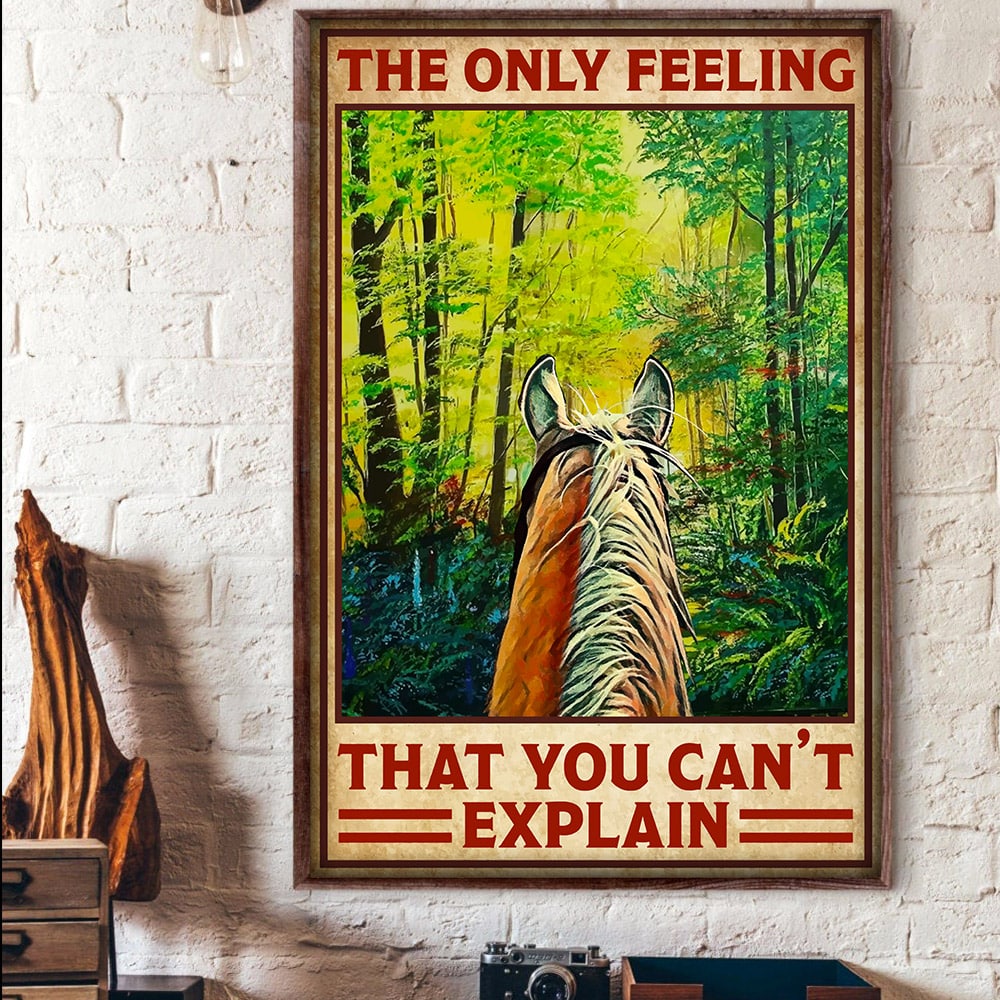 The Only Feel That You Can't Explain Horse Canvas And Poster 0523