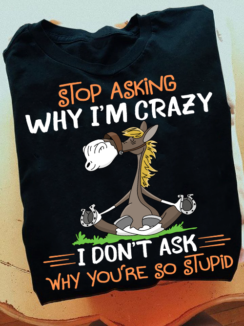 Stop Asking Why I'm Crazy Horse T-shirt and Hoodie 0523