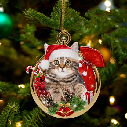 Cat Merry Christmas - Cat Ornament (Printed On Both Sides) 1022