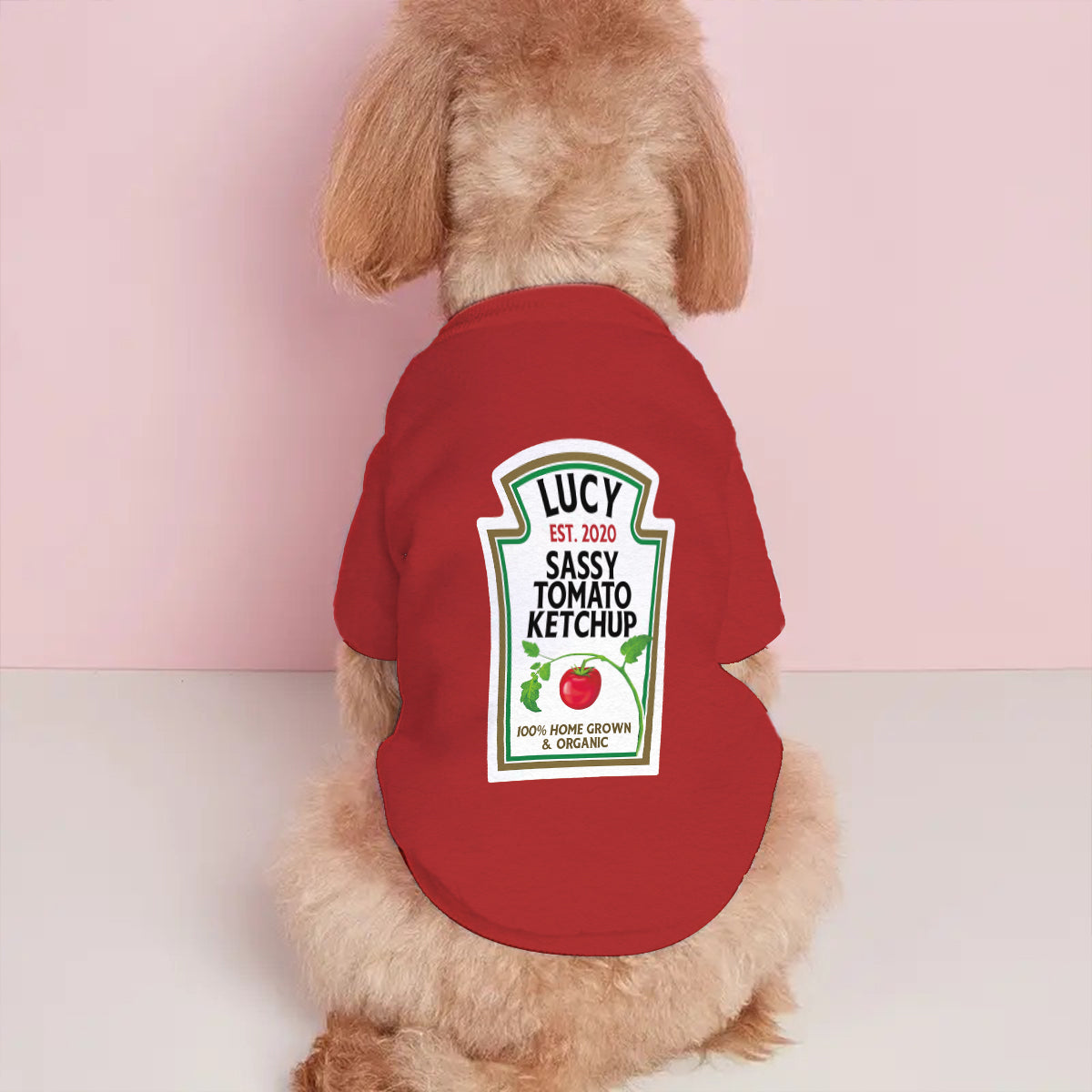 Sassy Ketchup Spicy Mustard Condiment Costume - Personalized Dog Pet Shirt