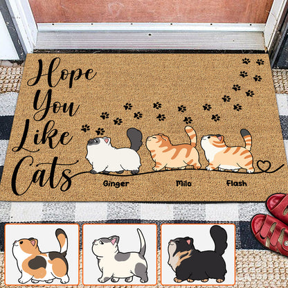 Hope You Like Cats - Personalized Cat Doormat