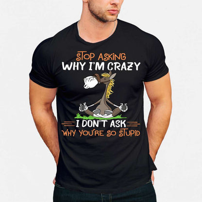 Stop Asking Why I'm Crazy Horse T-shirt and Hoodie 0523